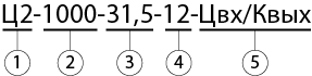 Ц2 1000 условное обозначение.png Ц2 1000 условное обозначение.png